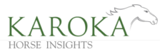 karoka horse insights logo def